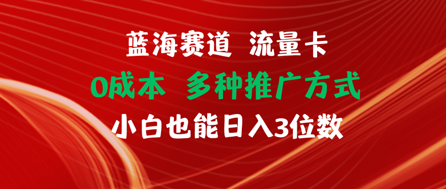 【站长实操】蓝海赛道 流量卡 0成本 小白也能日入三位数-宇文网创