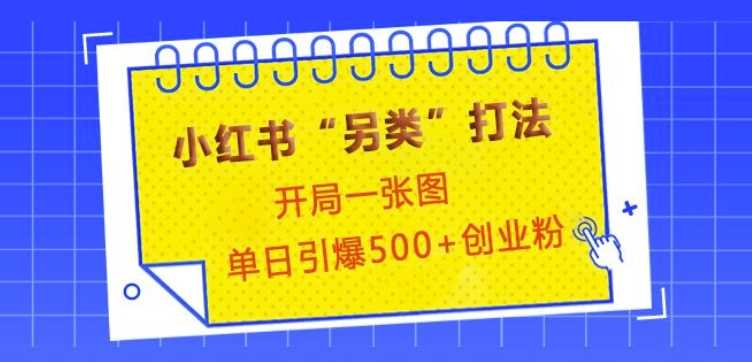 小红书“另类”打法，开局一张图，单日引爆500+精准创业粉【揭秘】-宇文网创