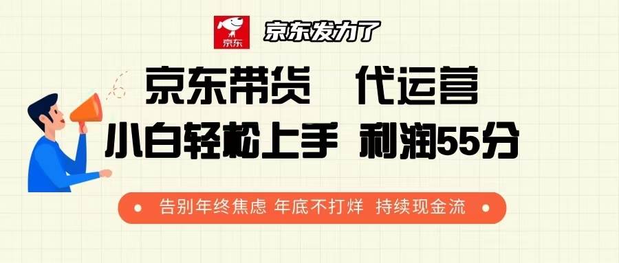 京东带货 代运营 利润55分 告别年终焦虑 年底不打烊 持续现金流-宇文网创