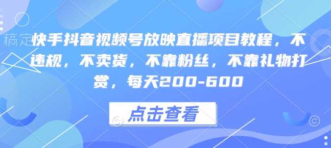 快手抖音视频号放映直播项目教程，不违规，不卖货，不靠粉丝，不靠礼物打赏，每天200-600-宇文网创