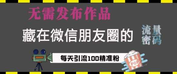 藏在微信朋友圈的流量密码，无需发布作品，单日引流100+精准创业粉【揭秘】-宇文网创