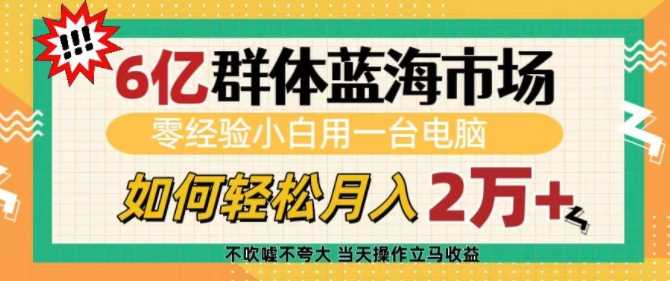 6亿群体蓝海市场，零经验小白用一台电脑，如何轻松月入过w【揭秘】-宇文网创