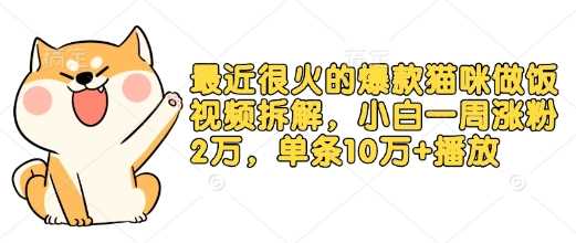 最近很火的爆款猫咪做饭视频拆解，小白一周涨粉2万，单条10万+播放(附保姆级教程)-宇文网创