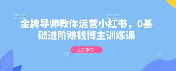 金牌导师教你运营小红书，0基础进阶赚钱博主训练课-宇文网创