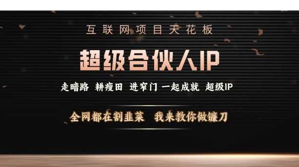 互联网项目天花板，超级合伙人IP，全网都在割韭菜，我来教你做镰刀【仅揭秘】-宇文网创