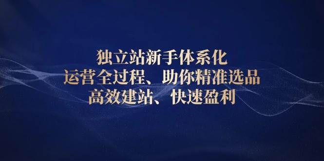 独立站新手体系化 运营全过程，助你精准选品、高效建站、快速盈利-宇文网创