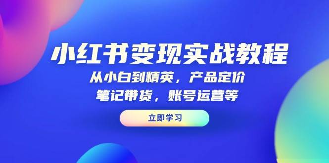 小红书变现实战教程：从小白到精英，产品定价，笔记带货，账号运营等-宇文网创