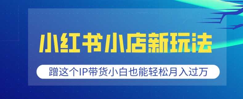 小红书小店新玩法，蹭这个IP带货，小白也能轻松月入过W【揭秘】-宇文网创