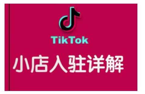 TikTok跨境小店运营全攻略，帮助你独立运营TK跨境小店的能力，实现销量增长-宇文网创