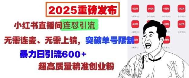 2025重磅发布：小红书直播间连怼引流，无需连麦、无需上镜，突破单号限制，暴力日引流600+-宇文网创