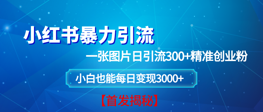 小红书暴力引流法，一张图片日引 300+精准创业粉，每日稳定变现 3000+【揭秘】-宇文网创