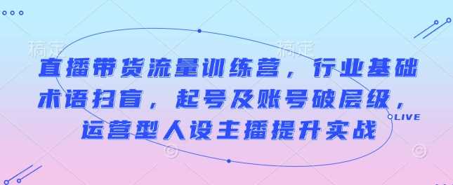 直播带货流量训练营，行业基础术语扫盲，起号及账号破层级，运营型人设主播提升实战-宇文网创