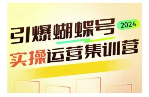 引爆蝴蝶号实操运营，助力你深度掌握蝴蝶号运营，实现高效实操，开启流量变现之路-宇文网创