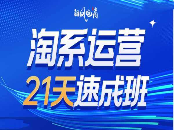 淘系运营21天速成班35期，年前最后一波和2025方向-宇文网创