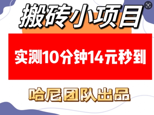 搬砖小项目，实测10分钟14元秒到，每天稳定几张(赠送必看稳定)-宇文网创