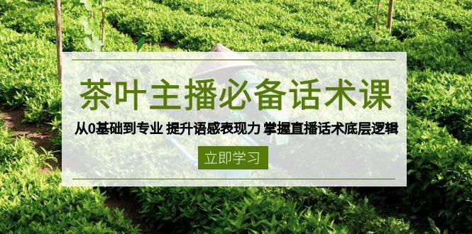 茶叶 主播必备话术课 从0基础到专业 提升语感表现力 掌握直播话术底层逻辑-宇文网创