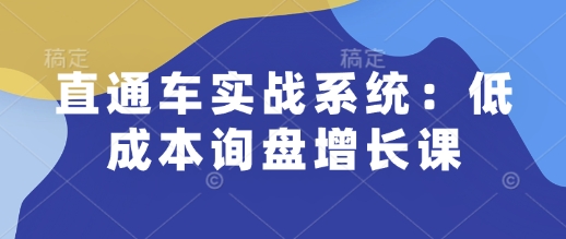 直通车实战系统：低成本询盘增长课，让个人通过技能实现升职加薪，让企业低成本获客，订单源源不断-宇文网创