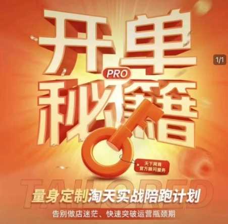 淘宝开单秘籍PRO，量身定制淘天实战陪跑计划，告别做店迷茫、快速突破运营瓶颈期-宇文网创