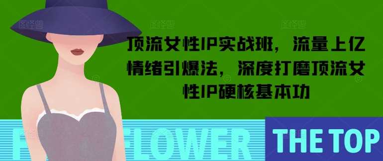 顶流女性IP实战班，流量上亿情绪引爆法，深度打磨顶流女性IP硬核基本功-宇文网创