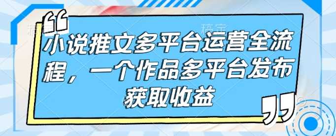 小说推文多平台运营全流程，一个作品多平台发布获取收益-宇文网创