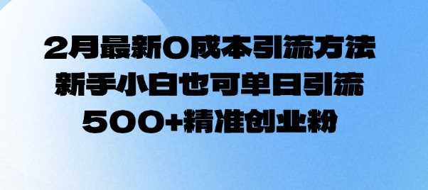 2月最新0成本引流方法，新手小白也可单日引流500+精准创业粉-宇文网创