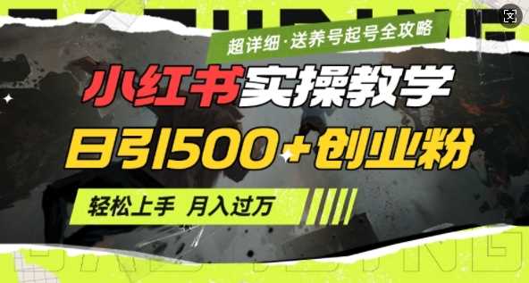 2月小红书最新日引500+创业粉实操教学【超详细】小白轻松上手，月入1W+，附小红书养号起号SOP-宇文网创