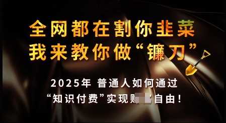 知识付费如何做到月入过W+，2025我来教你做“镰刀”【揭秘】-宇文网创