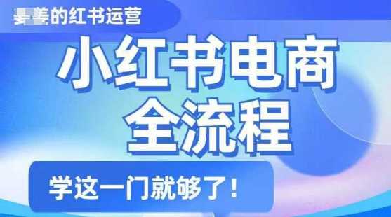 小红书电商全流程，精简易懂，从入门到精通，学这一门就够了-宇文网创