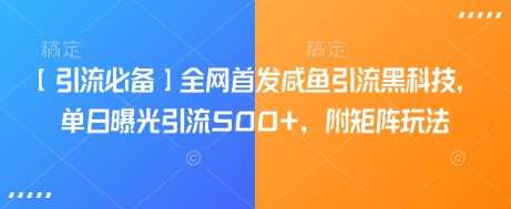 【引流必备】全网首发咸鱼引流黑科技，单日曝光引流500+，附矩阵玩法【揭秘】-宇文网创