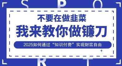 韭菜生涯终结者，我来教你做镰刀，2025如何通过“知识付费”实现财F自由【揭秘】-宇文网创