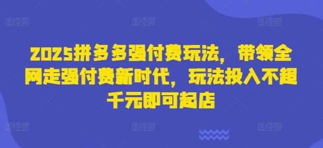 2025拼多多强付费玩法，带领全网走强付费新时代，玩法投入不超千元即可起店-宇文网创