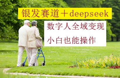 银发赛道+deepseek数字人全域变现，小白也能操作-宇文网创