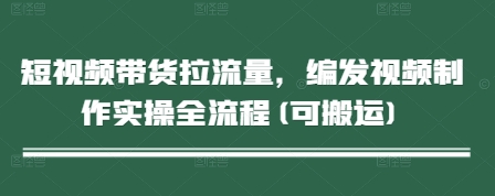 短视频带货拉流量，编发视频制作实操全流程(可搬运)-宇文网创