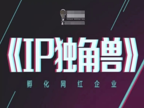 IP独角兽，孵化网红企业，ip教程-宇文网创