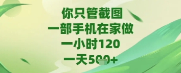 你只管截图，一部手机在家做，苹果安卓都可以，一天5张+【揭秘】-宇文网创