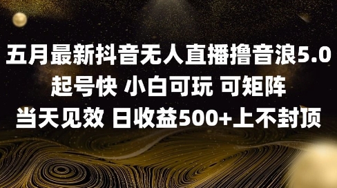 2025五月最新无人直播撸音浪单日产出5张+实操教程【揭秘】-宇文网创