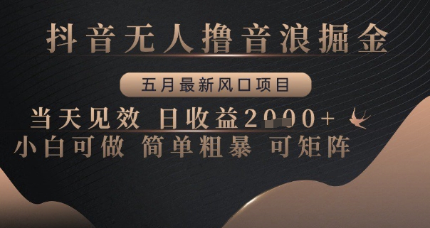 抖音无人撸音浪掘金，五月最新风口项目，当天见效，日收益多张，小白可做简单粗暴可矩阵【揭秘】-宇文网创