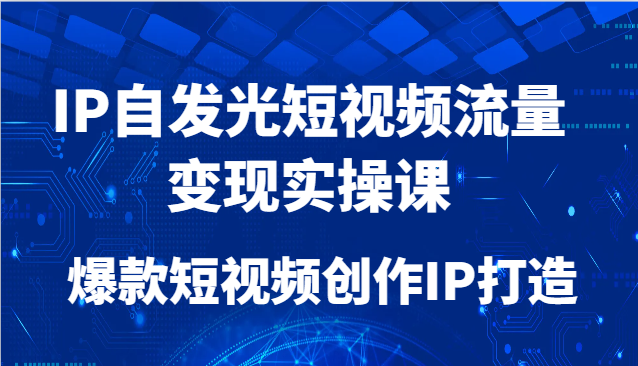 IP自发光短视频流量变现实操课，爆款短视频创作IP打造-宇文网创