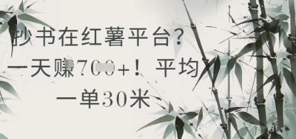 抄书在小红薯平台？平均一单30米，一天收益几张！-宇文网创