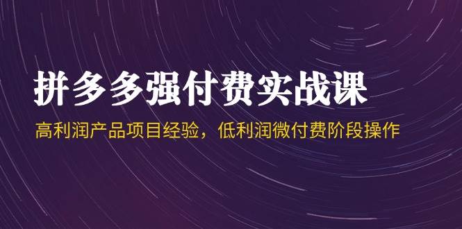 拼多多强付费实战课-44期，高利润产品项目经验，低利润微付费阶段操作-宇文网创