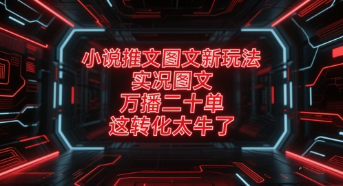 小说推文图文新玩法，实况图文，万播二十单，这转化太牛了！-宇文网创