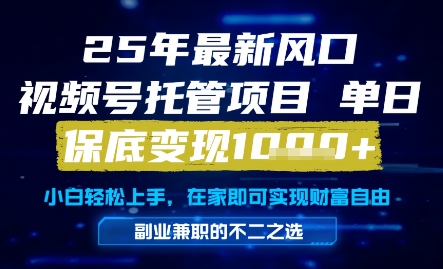 25年最新风口，视频号托管项目，单日保底变现1k+，手把手教学【揭秘】-宇文网创