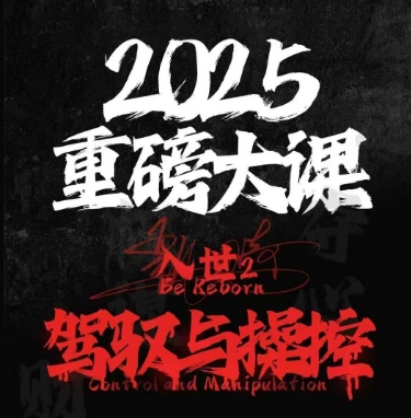 2025重磅大课，入世2，驾驭与控制-宇文网创