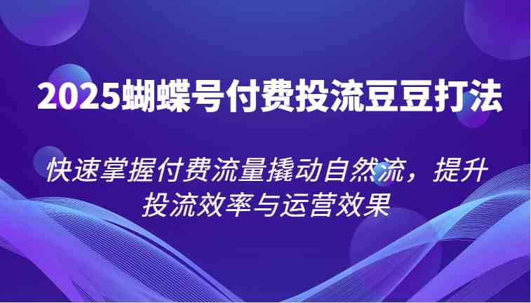 2025蝴蝶号付费投流豆豆打法，快速掌握付费流量撬动自然流，提升投流效率与运营效果-宇文网创