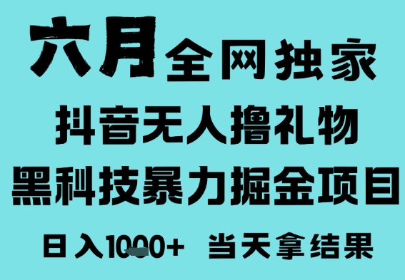 25年6月高爆抖音无人直播最新撸音浪掘金项目，门槛低小白可做，无脑日入1k，可矩阵放大【揭秘】-宇文网创