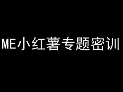 ME小红薯专题密训-小红书电商教程-宇文网创