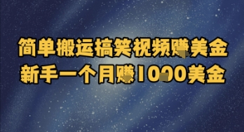 简单搬运搞笑视频挣美金，新手一个月入1k美金-宇文网创