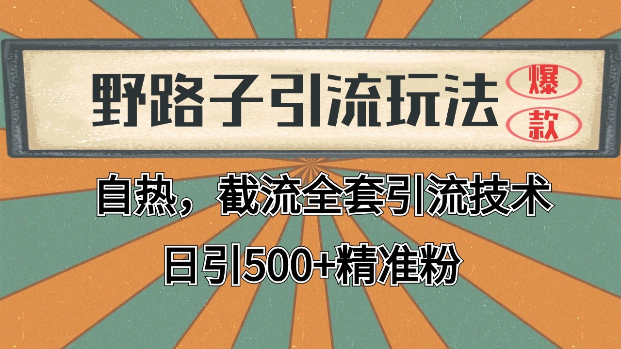2024首发野路子引流玩法截流自热全平台打法，全自动引流【日引2000+精准客户】-宇文网创