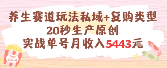 养生赛道玩法私域+复购类型，20秒生产原创实战单号月收入5k+-宇文网创