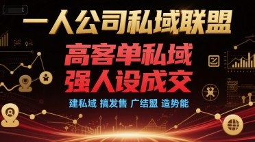 一人公司私域联盟，高客单私域，强人设成交，建私域 搞发售 广结盟 造势能-宇文网创